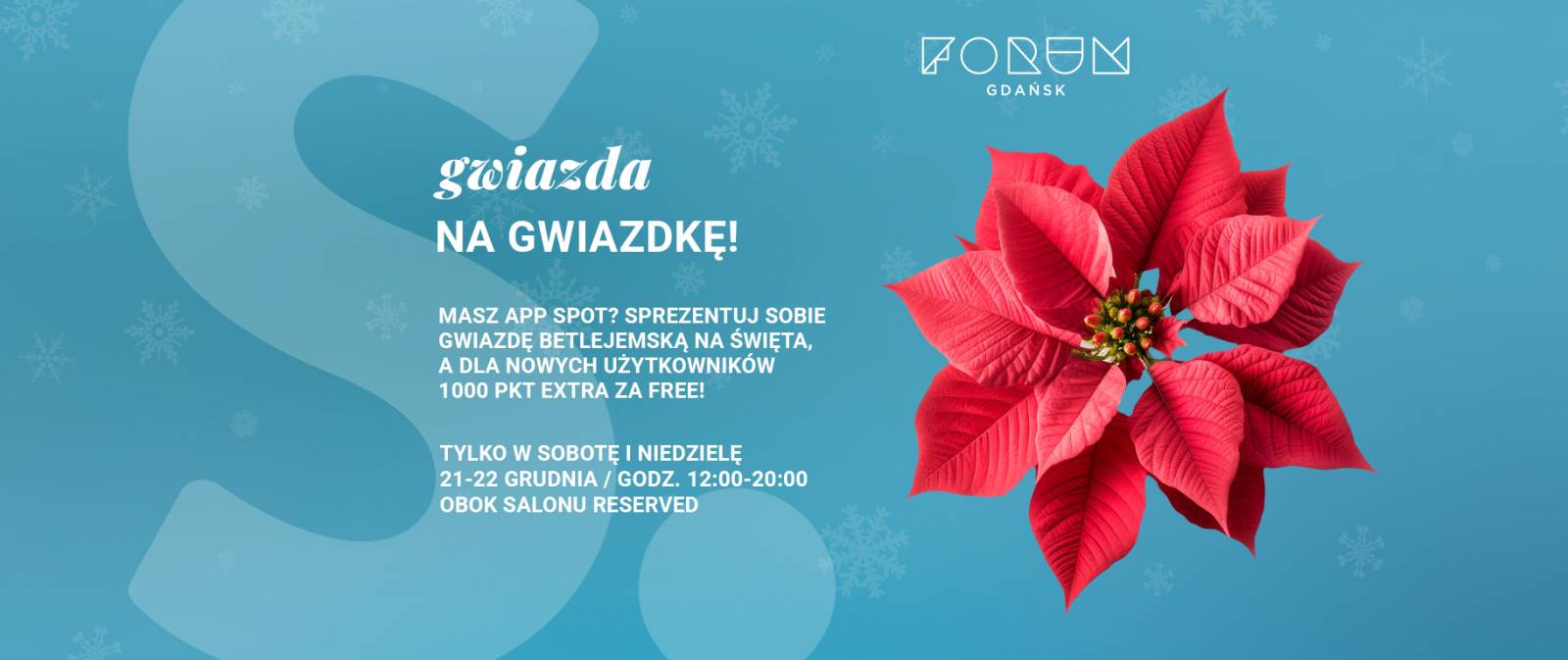 GWIAZDA NA GWIAZDKĘ